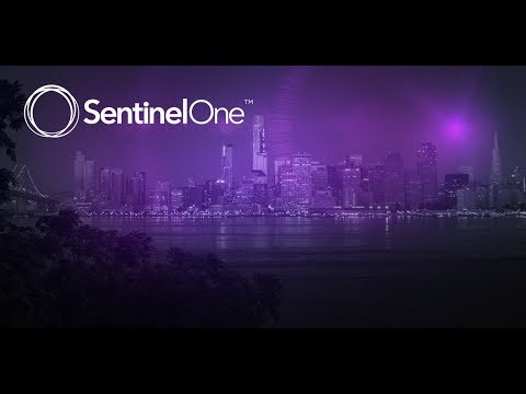 ITHive Business Security per User (per Month, Powered by SentinelOne)